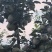 阿克苏苹果，脆爽多汁，产地直销，欢迎各位随时咨询