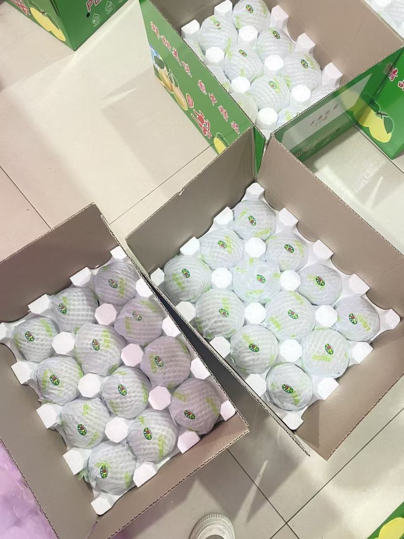山西玉露香梨