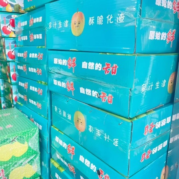 山西玉露香梨