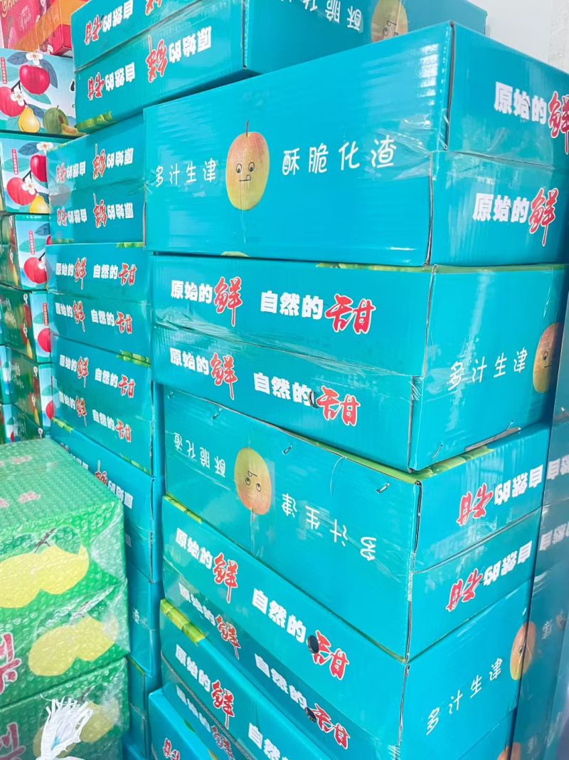 山西玉露香梨