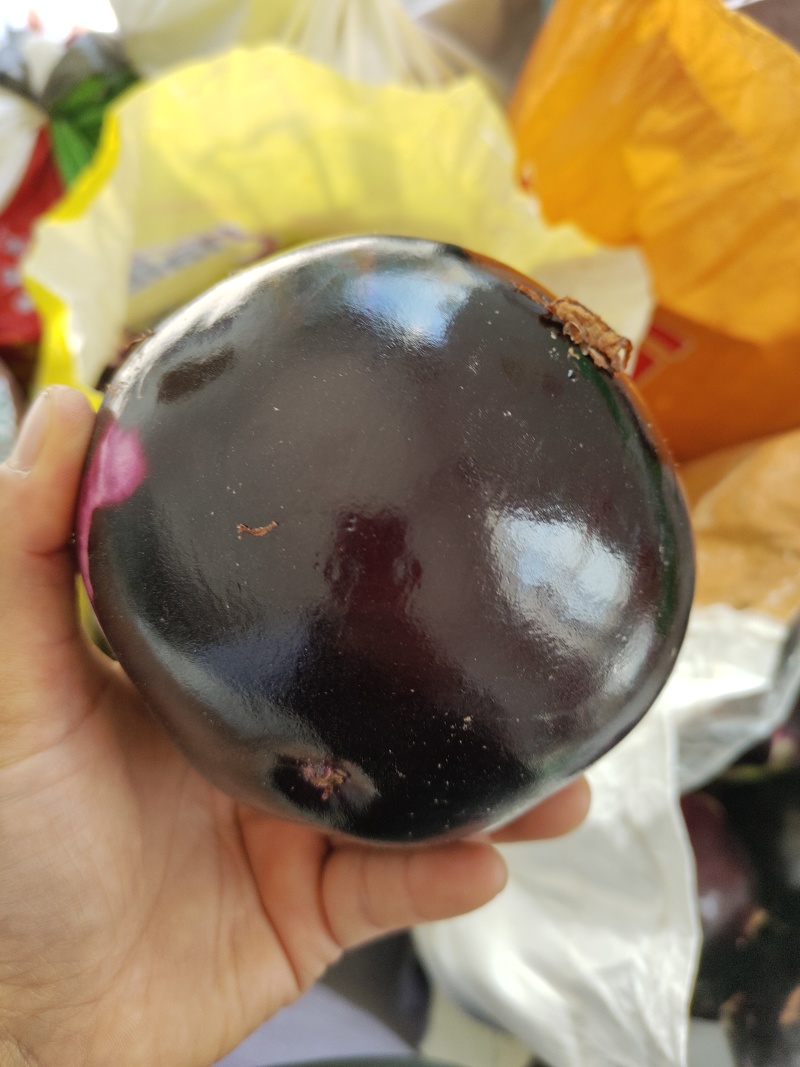 精品快园茄，个大，匀实，无虫眼，量大