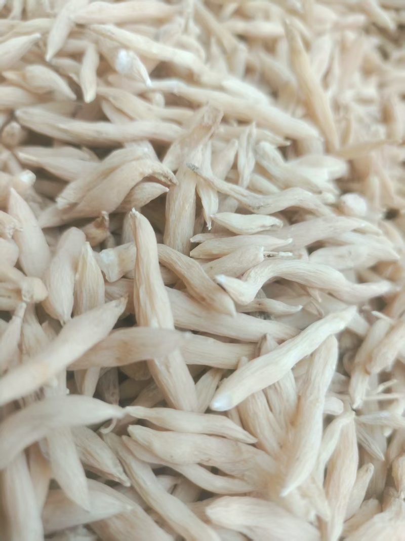 山东菏泽麦冬/菏泽麦冬质量保证一手货源，价格公道全国发货