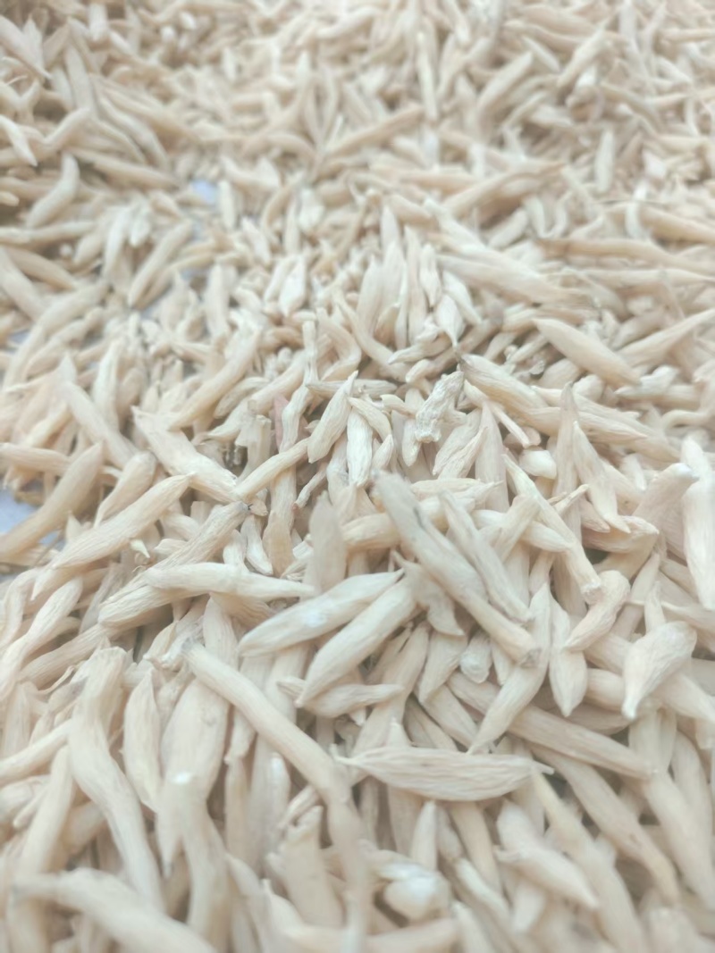 山东菏泽麦冬/菏泽麦冬质量保证一手货源，价格公道全国发货