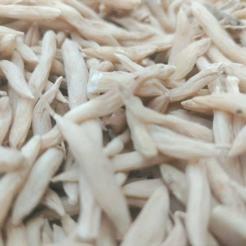 山东菏泽麦冬/菏泽麦冬质量保证一手货源，价格公道全国发货