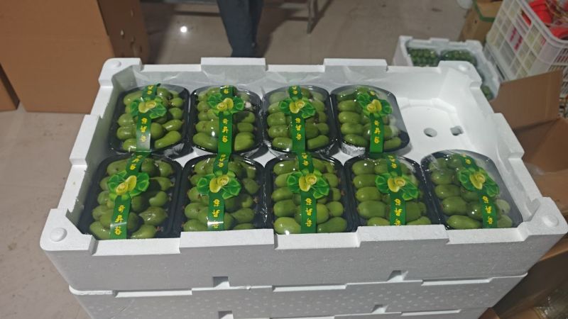 奇异莓，软枣猕猴桃大量上市，可视频看货，口感美味