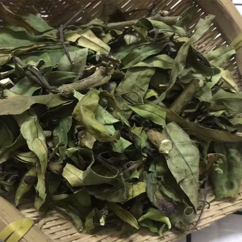 小驳骨g无硫接骨草裹篱樵驳骨草驳骨另售大驳骨中