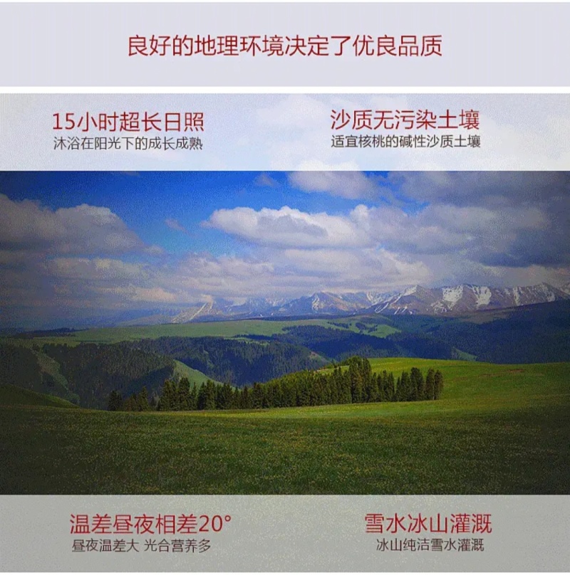 新疆哈密大枣，五堡大枣大量发售，货源充足，自有清洗加工厂