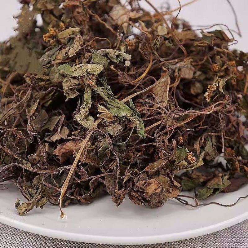 正品肺心草中药材克四川非肺筋草梅花草白侧耳无硫肺心草