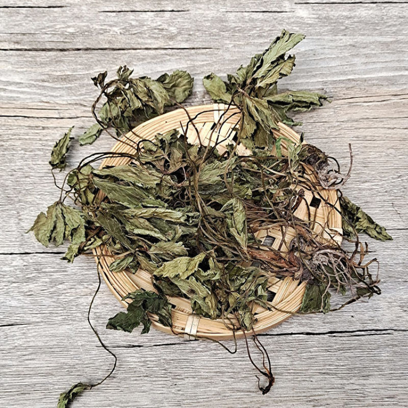 正品肺心草中药材克四川非肺筋草梅花草白侧耳无硫肺心草