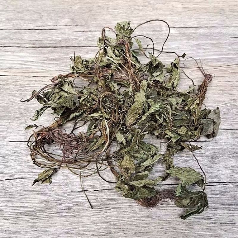 正品肺心草中药材克四川非肺筋草梅花草白侧耳无硫肺心草