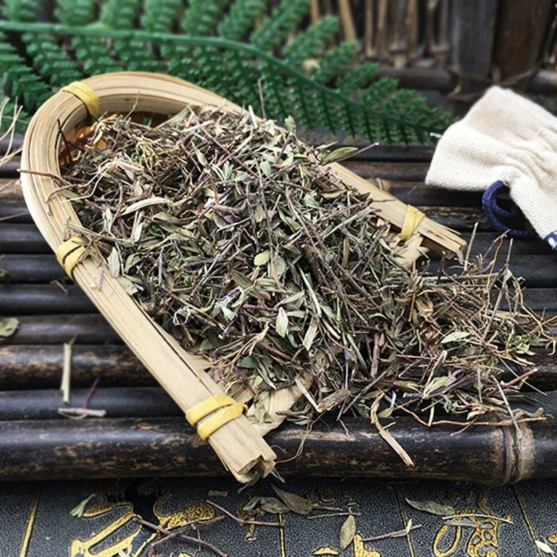 麝香草中药材别名百里香毛射香五凉草饼草批发供应