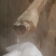 正宗**酿造玉米酒