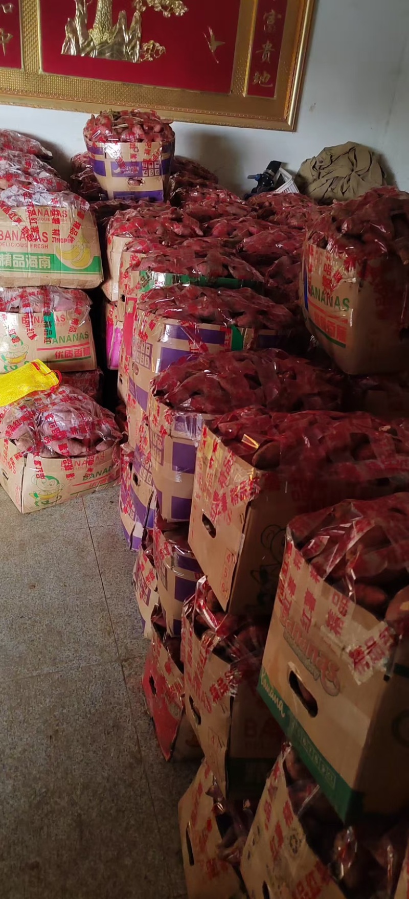 烟薯安徽红薯大量上市了，基地直发量大，对接全部市场