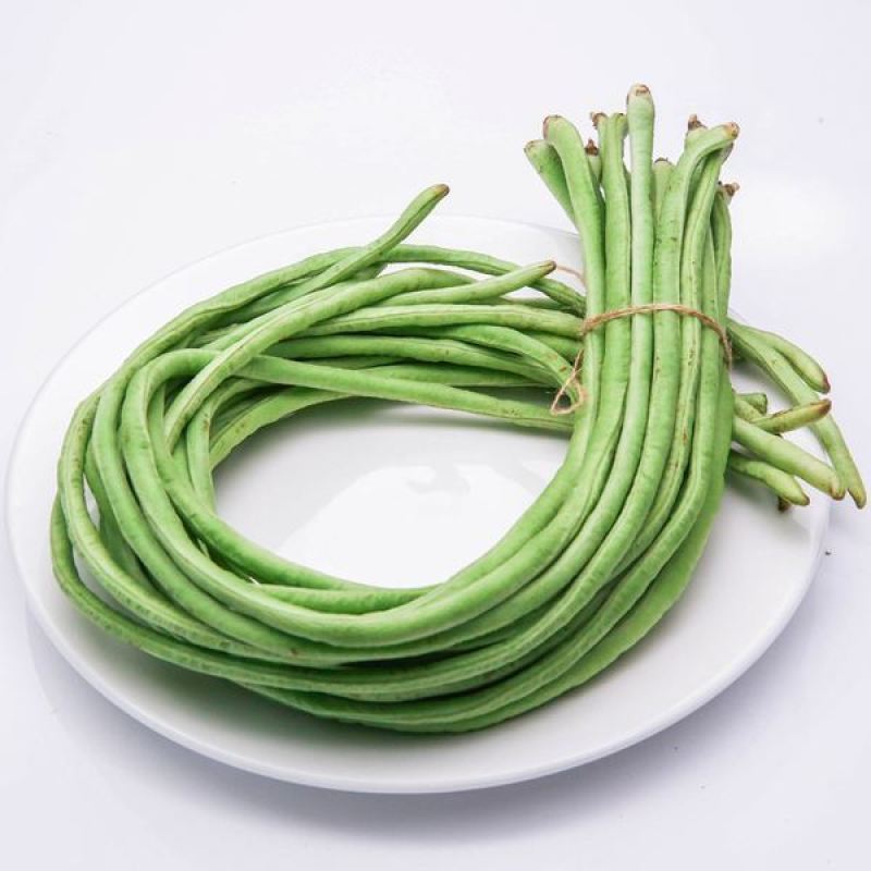 精品豇豆长豆角四川豆角产地直达专业代办无中间商全国发货