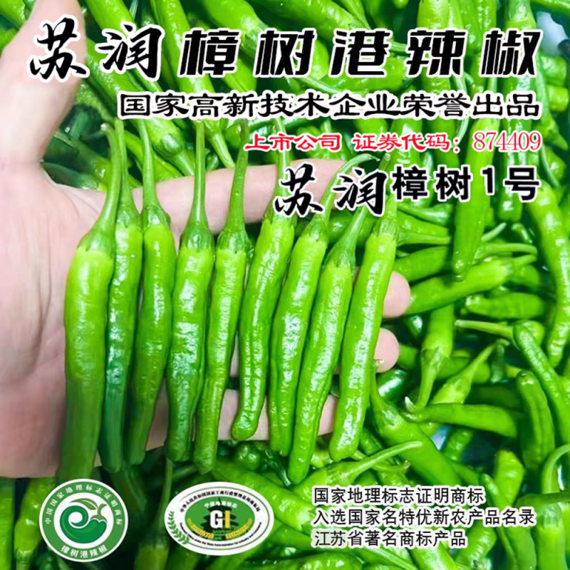樟树港辣椒种子苏润樟树1号短羊角椒薄皮香辣绿皮青椒辣椒种