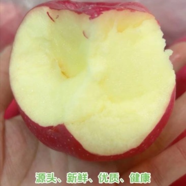 山东红富士苹果，自家种植80+以上好果，两万斤