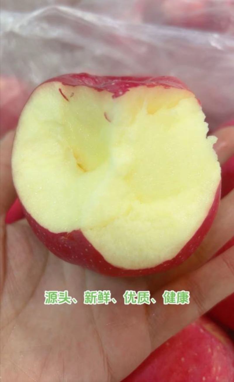 山东红富士苹果，自家种植80+以上好果，两万斤