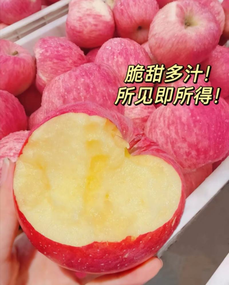 山东红富士苹果，自家种植80+以上好果，两万斤