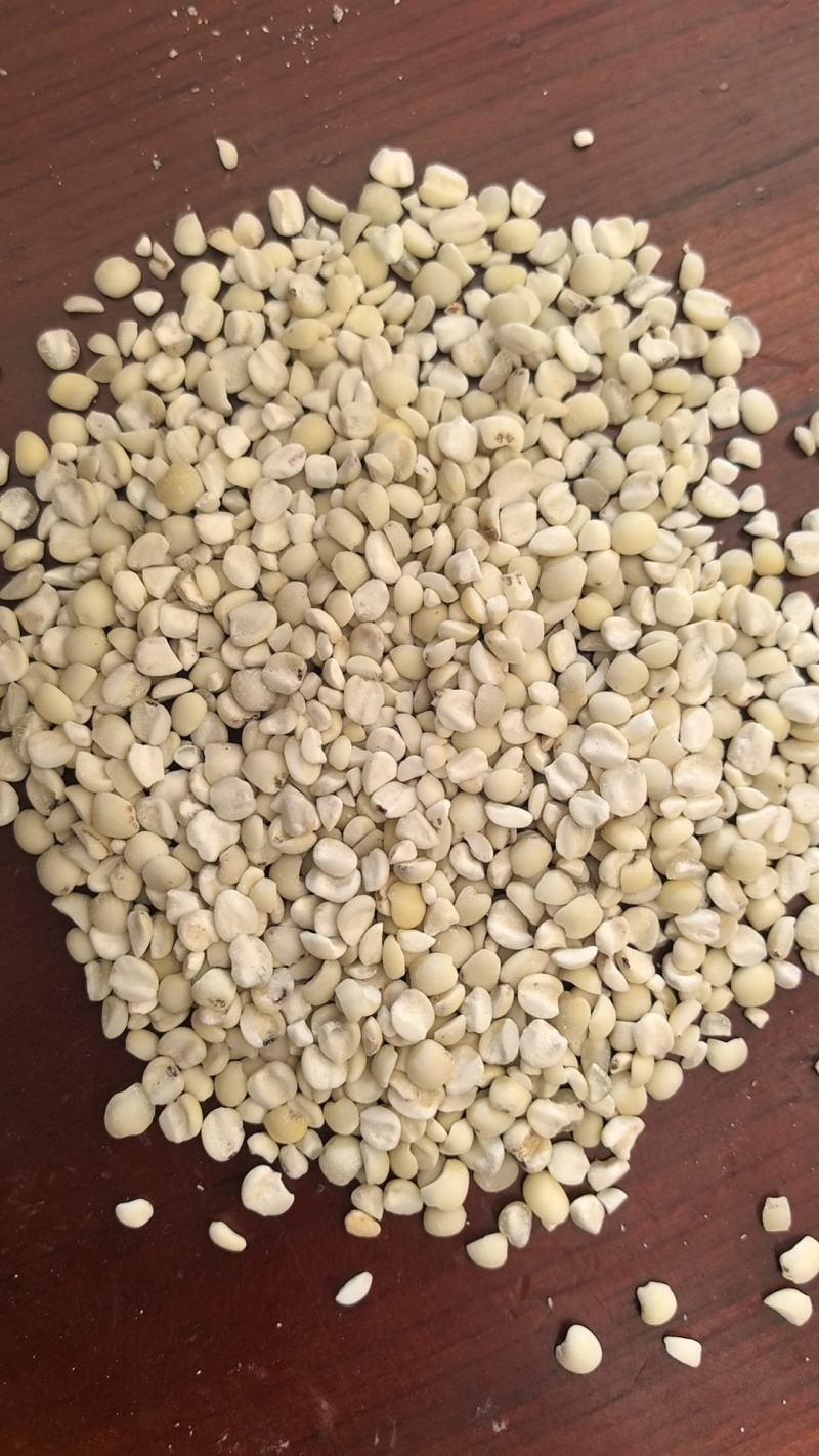 贵州薏米仁新货来袭，原产地发货，当天发货优选