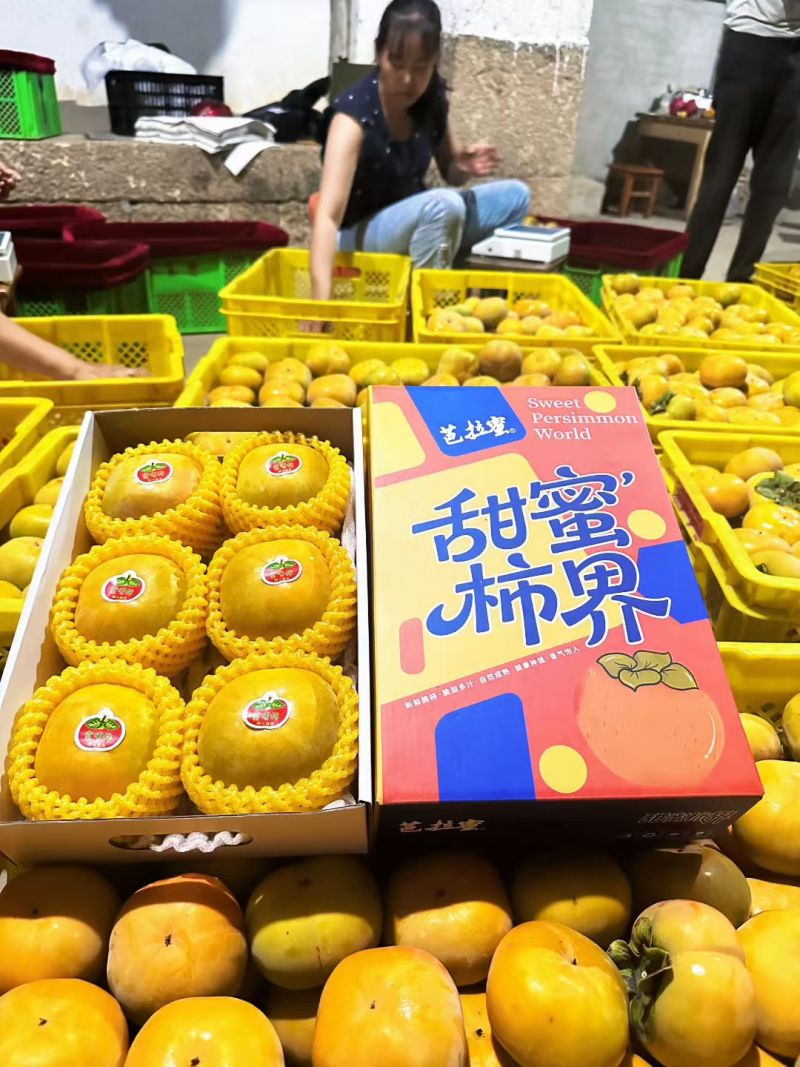 保山富有甜脆柿