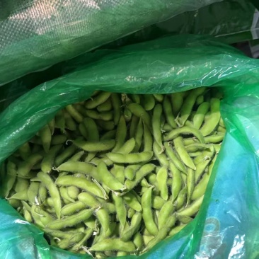 东北毛豆