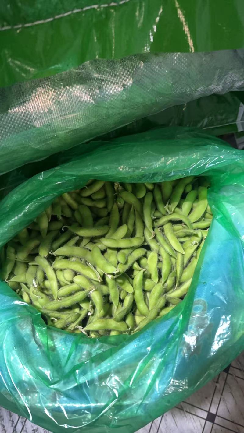 东北毛豆