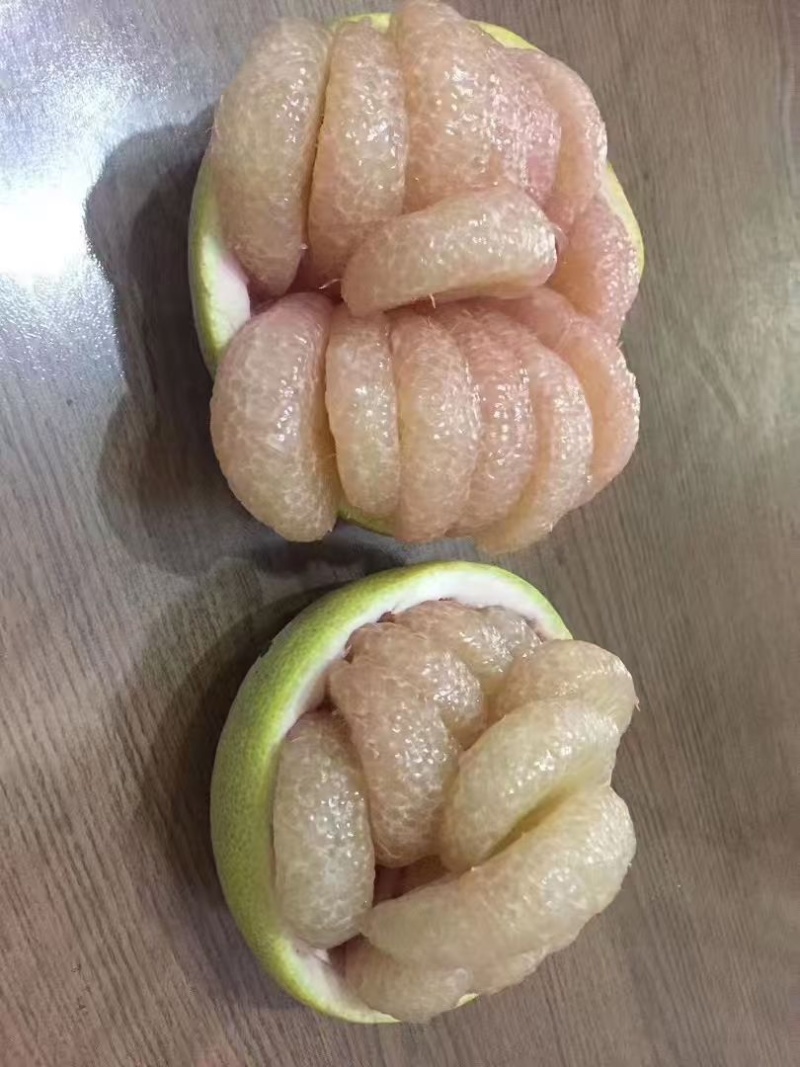度尾红心文旦柚采摘中，批发零售