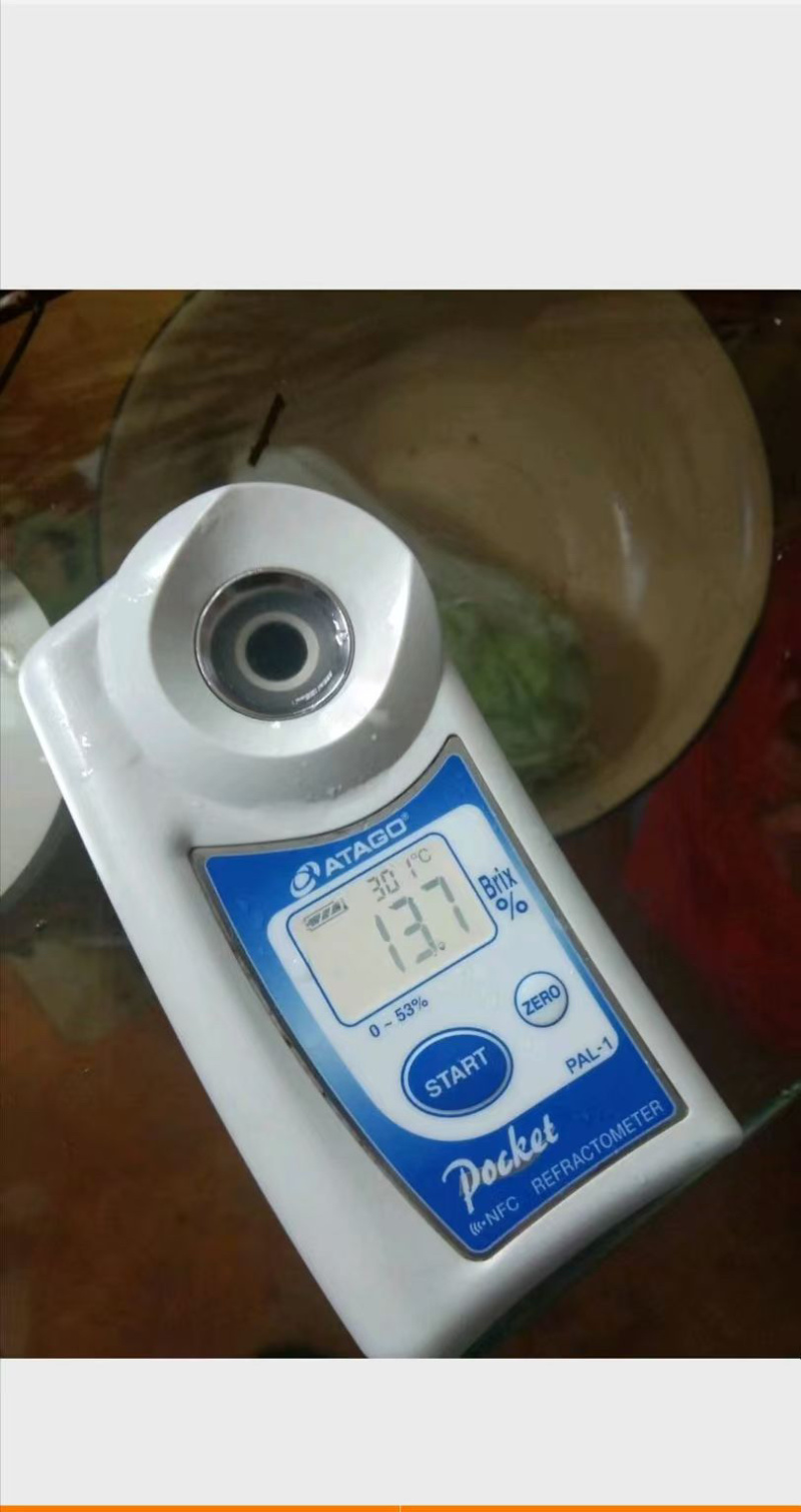 度尾红心文旦柚采摘中，批发零售