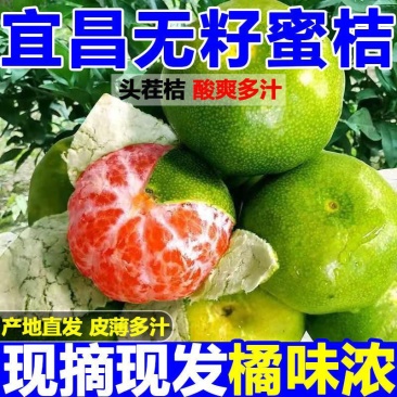 特早蜜橘，产地一手货源可以视频看货，量大优惠欢迎合作