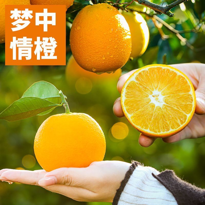 纽荷尔脐橙，水分足甜度高对接电商，出口外贸产地发货