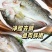 2条*【饭店开背鲈鱼】深海去鳞去内600-700g鲈鱼红