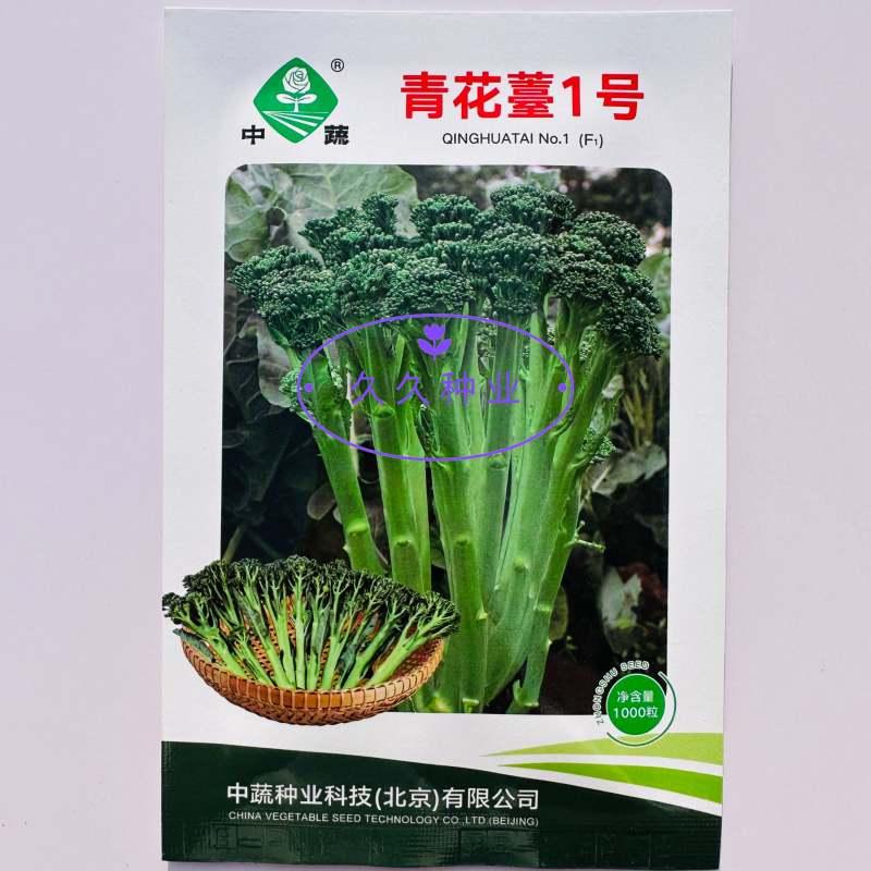 青花薹1号西兰苔种子西洋芥兰种籽芥蓝菜苔四季秧苗西兰花