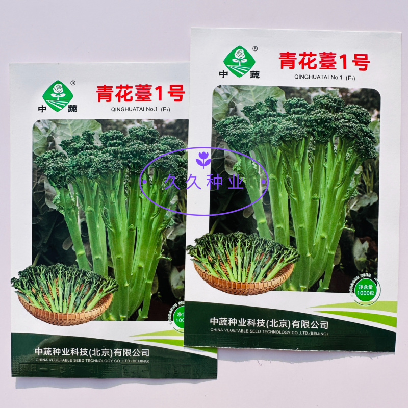 青花薹1号西兰苔种子西洋芥兰种籽芥蓝菜苔四季秧苗西兰花
