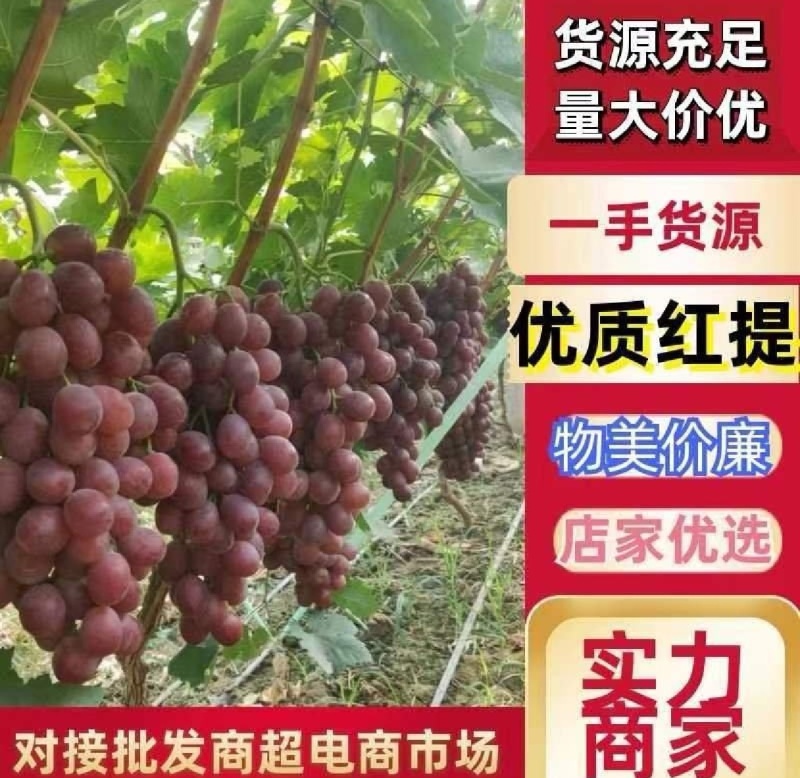 大荔红提上市，价格便宜，糖度高，果面干净！支持视频看货