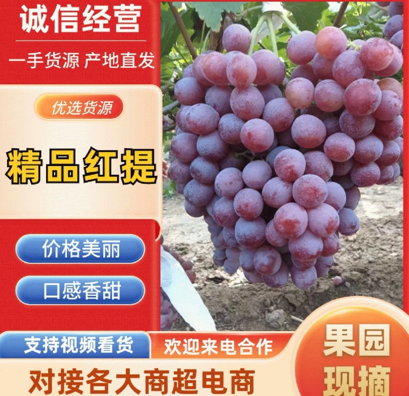 大荔红提上市，价格便宜，糖度高，果面干净！支持视频看货