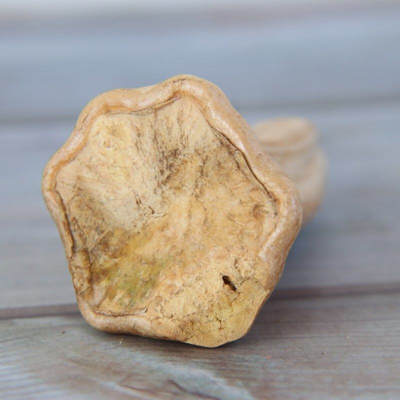 南瓜蒂老南瓜蒂正品干货中药材南瓜帝南瓜把子南瓜头南瓜柄