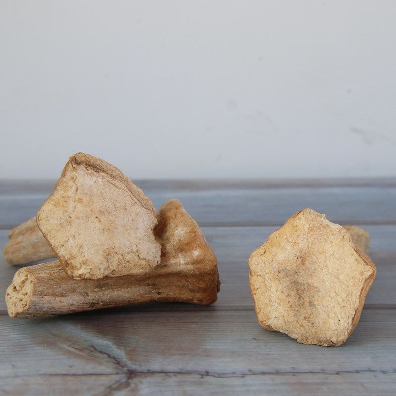 南瓜蒂老南瓜蒂正品干货中药材南瓜帝南瓜把子南瓜头南瓜柄