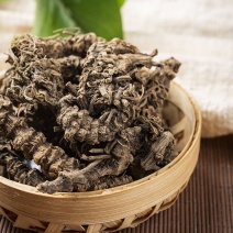 中药材马蹄香蜘蛛香心叶缬草