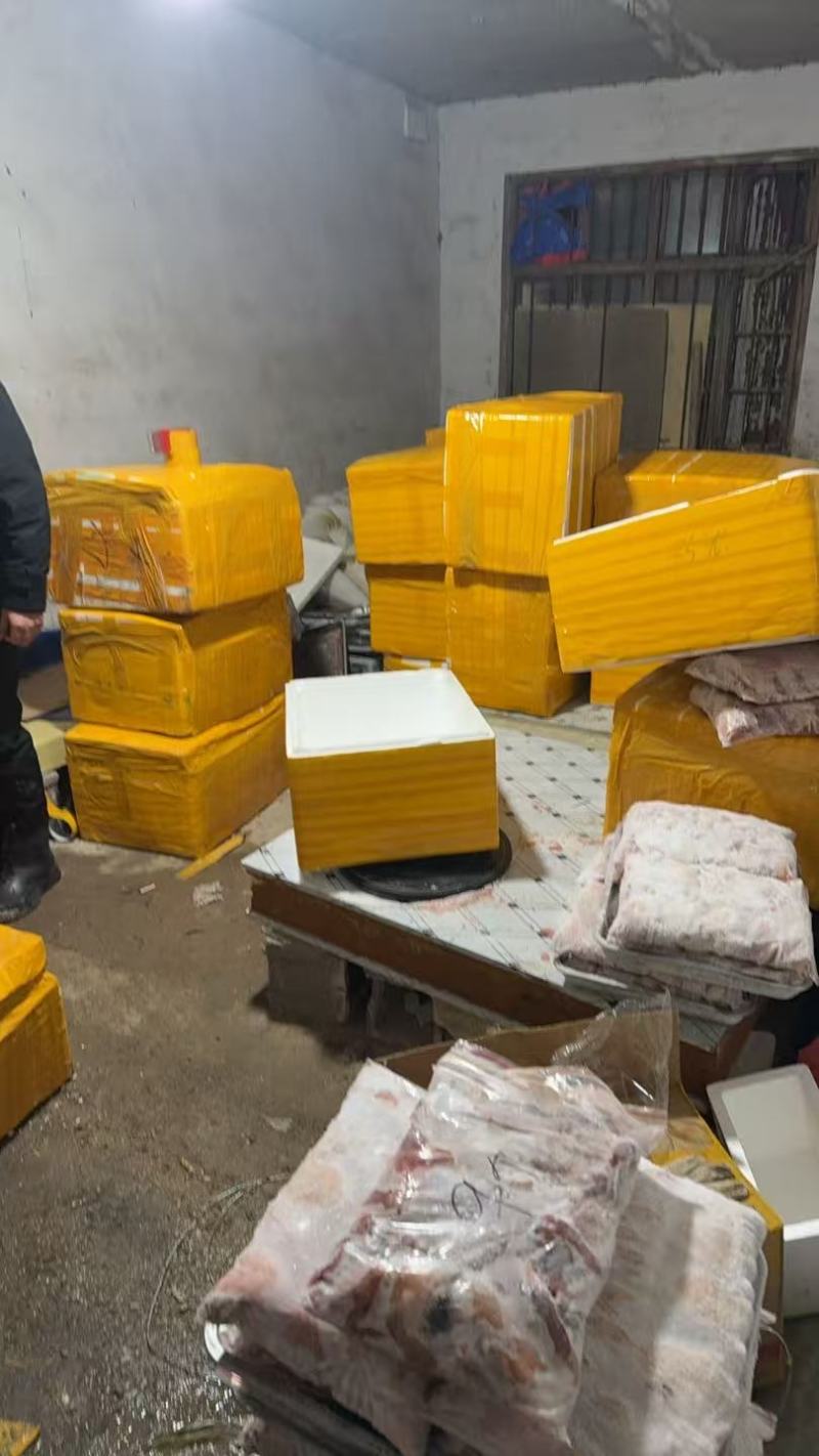 【推荐】山东鹧鸪鹧鸪肉一手货源量大从优活体发货质量保证