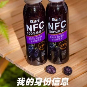 桑葚饮品，可对接市场，商超，厂家现货可视频看货