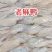 老麻鸭规格齐全