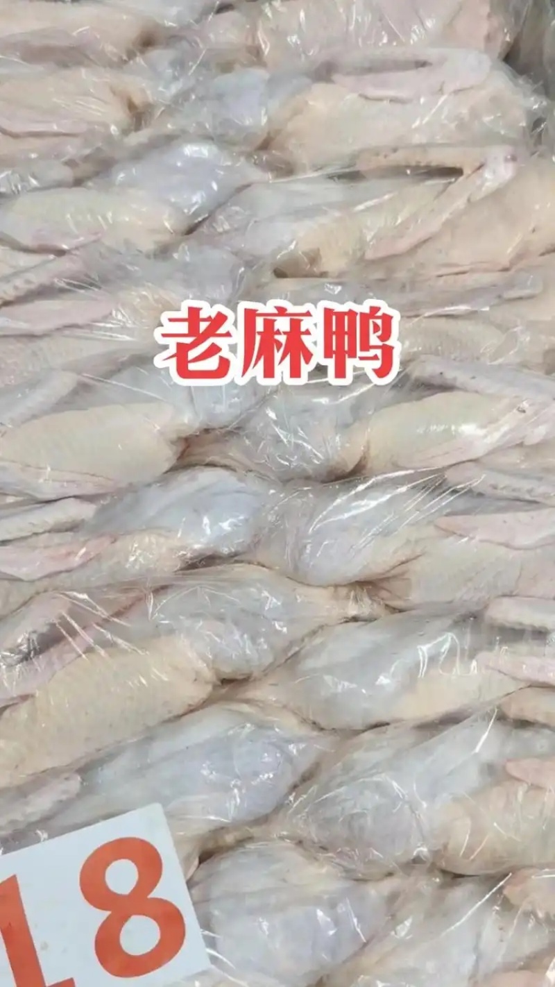 老麻鸭规格齐全