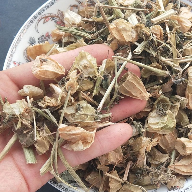 中药材灯笼草打卜草打额泡天泡草黄灯笼黄姑娘20克包邮新货
