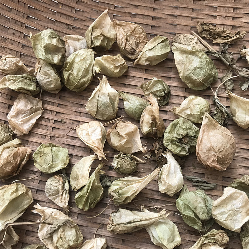 中药材灯笼草打卜草打额泡天泡草黄灯笼黄姑娘20克包邮新货