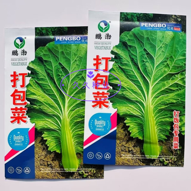 东北打包菜种子春秋两季栽培打饭包专用种子饭包菜