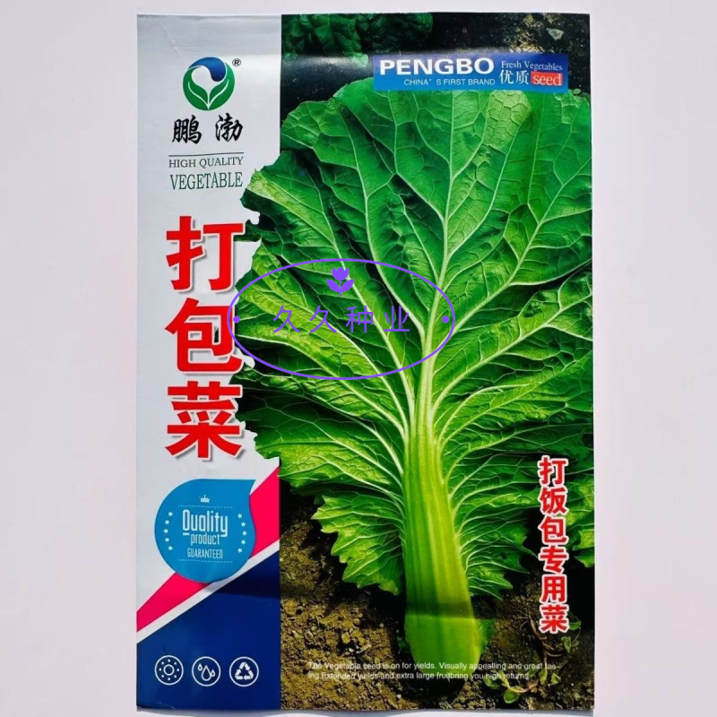 东北打包菜种子春秋两季栽培打饭包专用种子饭包菜