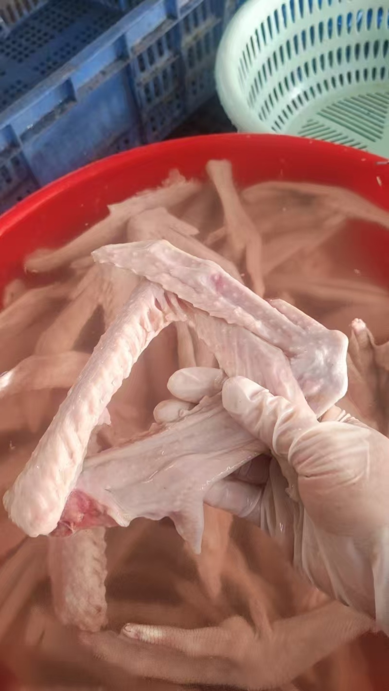乌鬃鹅鹅翅，一手货源，保质保量，可对接电商批发市场，诚信