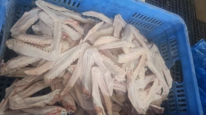 乌鬃鹅鹅翅，一手货源，保质保量，可对接电商批发市场，诚信