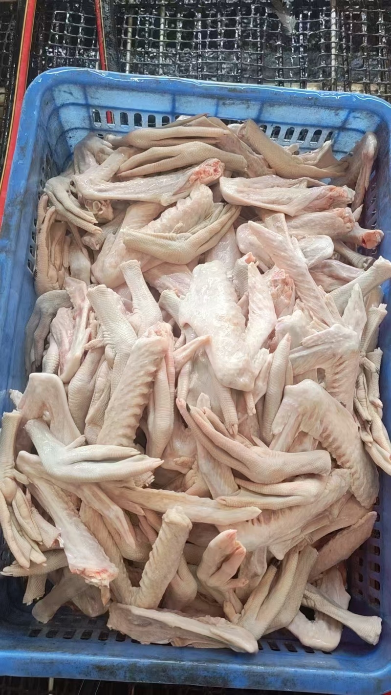 乌鬃鹅鹅翅，一手货源，保质保量，可对接电商批发市场，诚信