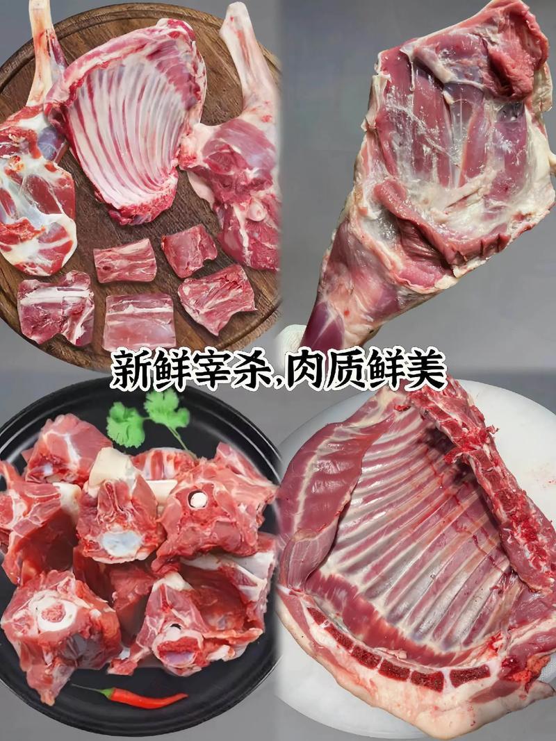 新鲜半羊10斤切块冷冻生鲜羊蝎鲜嫩80%腿排